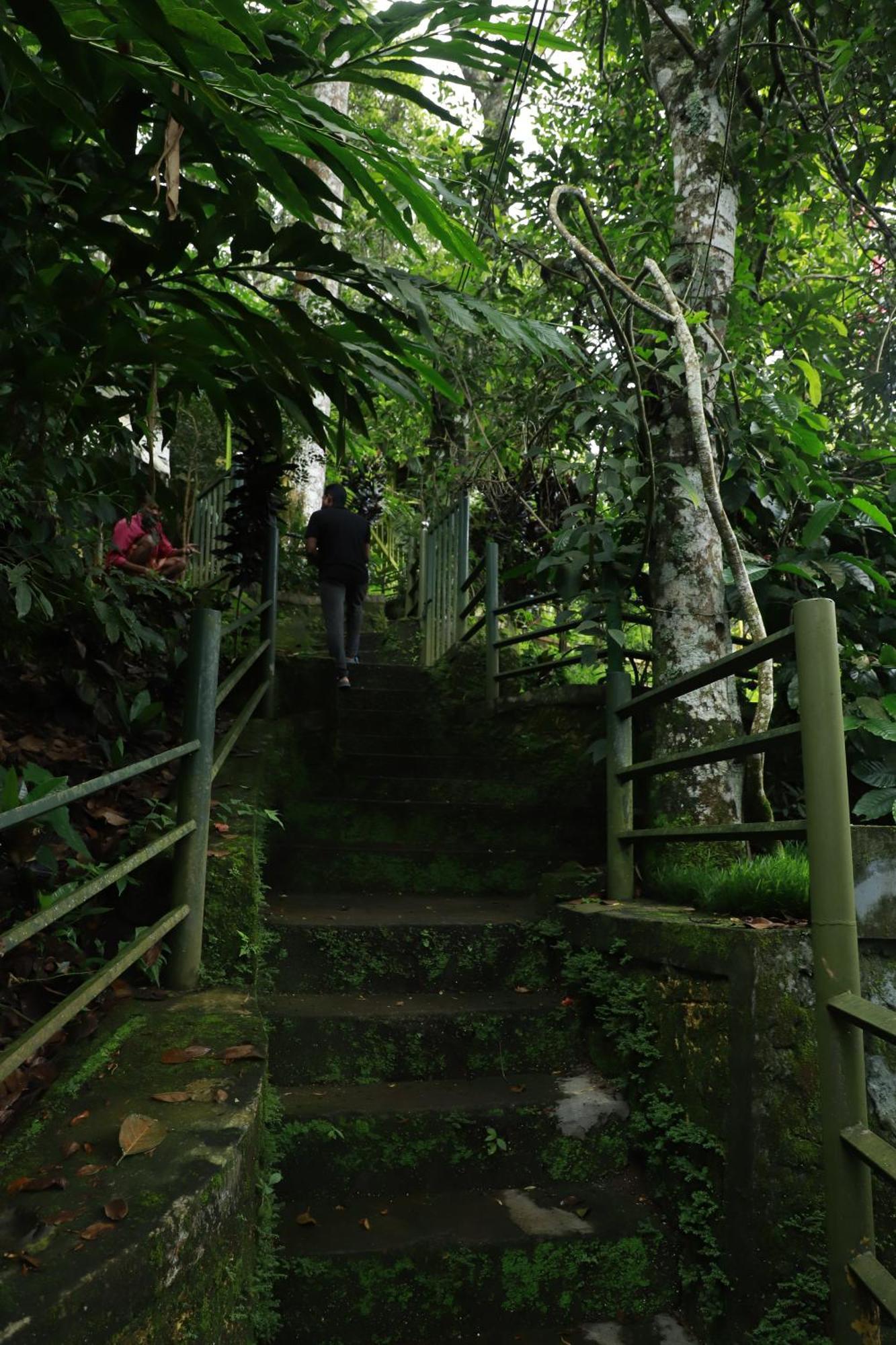 Nature Villa Anachal Zewnętrze zdjęcie
