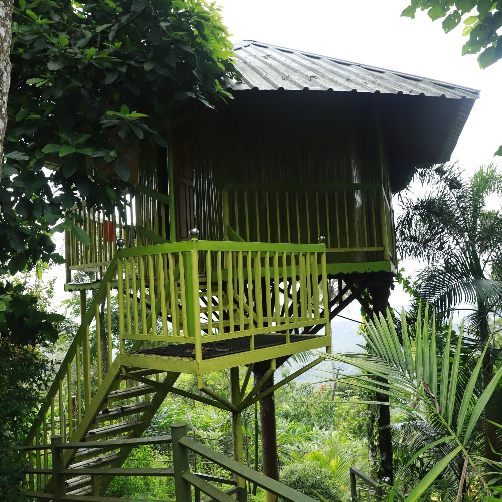 Nature Villa Anachal Zewnętrze zdjęcie